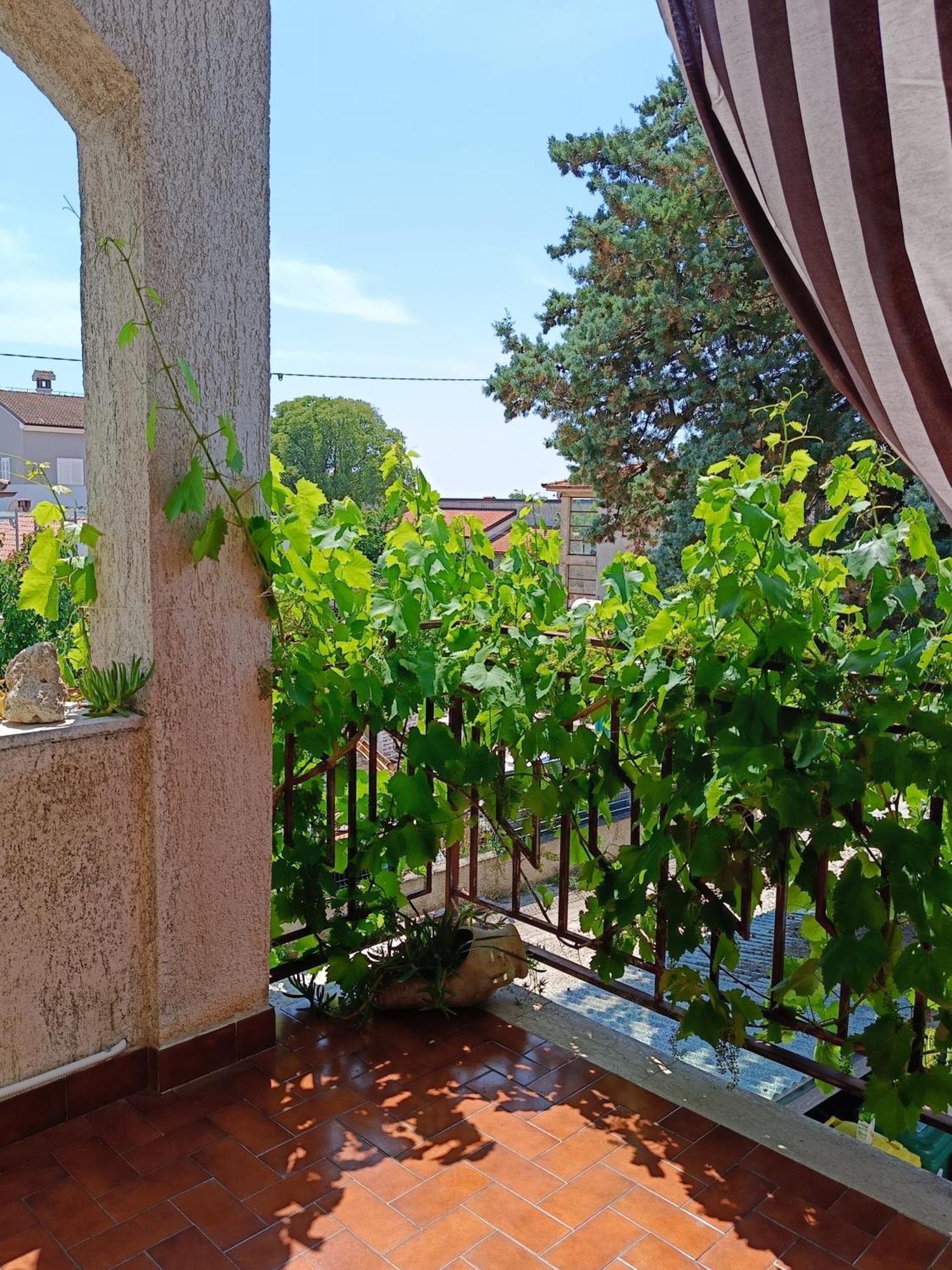 Apartments Villa Laura Póla Kültér fotó